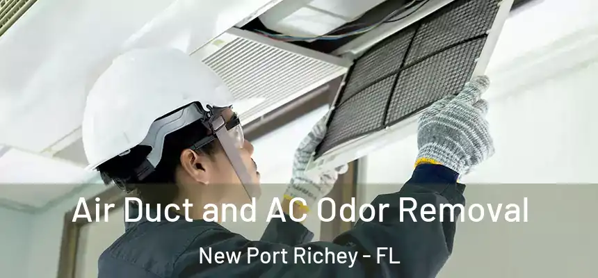 Air Duct and AC Odor Removal New Port Richey - FL