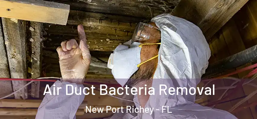  Air Duct Bacteria Removal New Port Richey - FL