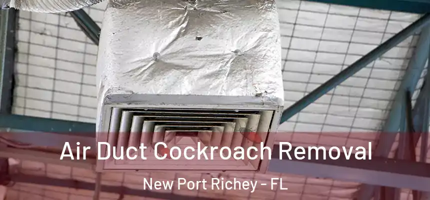 Air Duct Cockroach Removal New Port Richey - FL