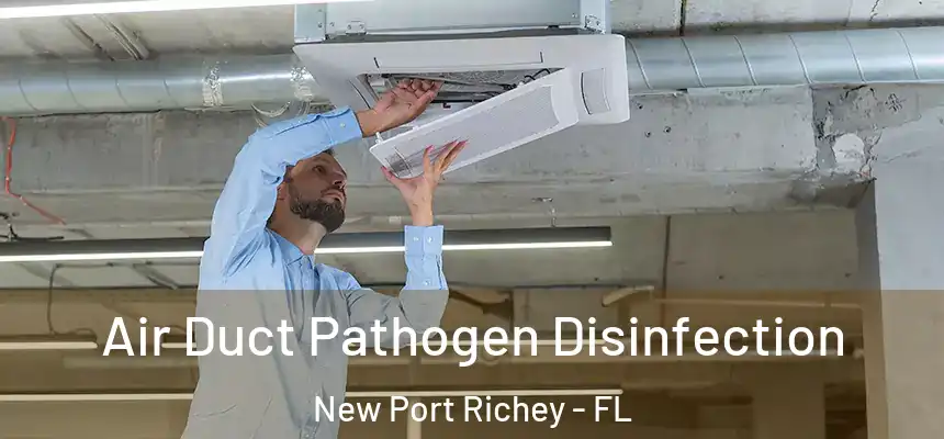 Air Duct Pathogen Disinfection New Port Richey - FL