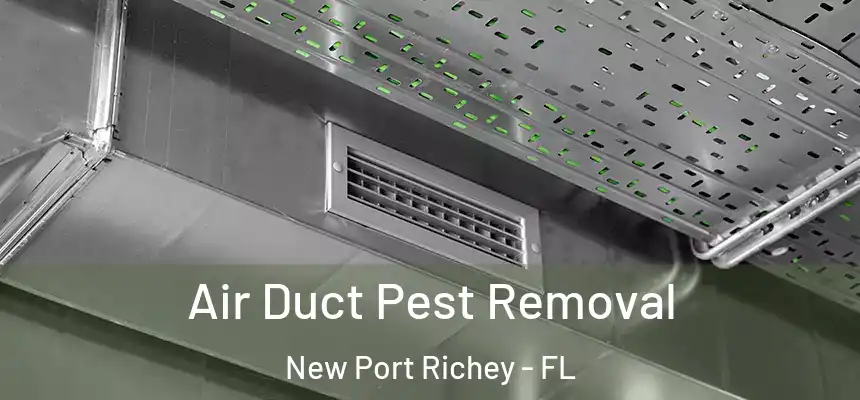  Air Duct Pest Removal New Port Richey - FL