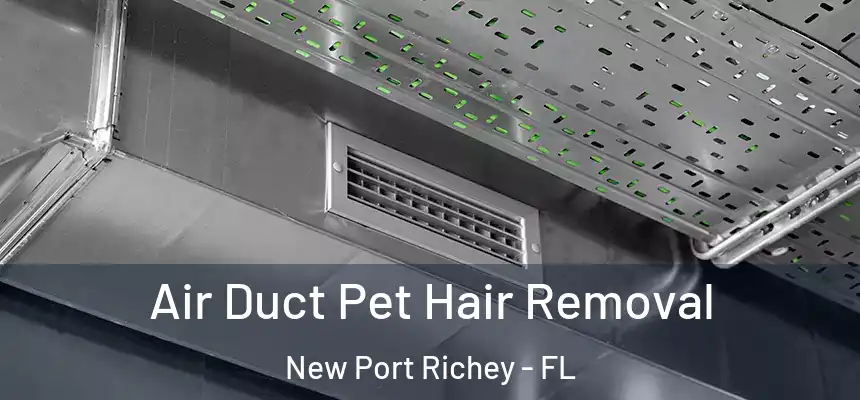  Air Duct Pet Hair Removal New Port Richey - FL