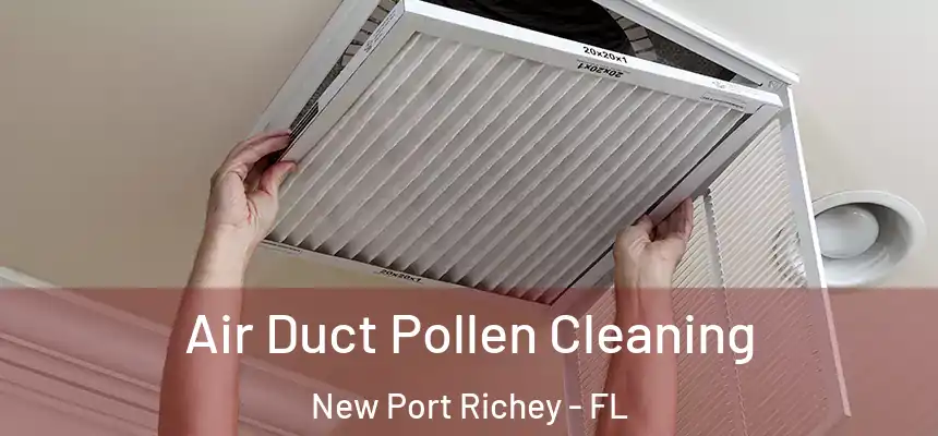  Air Duct Pollen Cleaning New Port Richey - FL