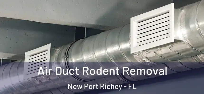  Air Duct Rodent Removal New Port Richey - FL