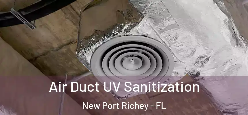  Air Duct UV Sanitization New Port Richey - FL