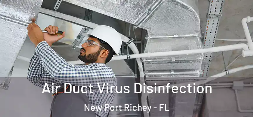 Air Duct Virus Disinfection New Port Richey - FL