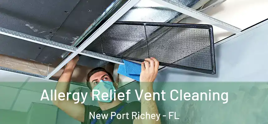  Allergy Relief Vent Cleaning New Port Richey - FL