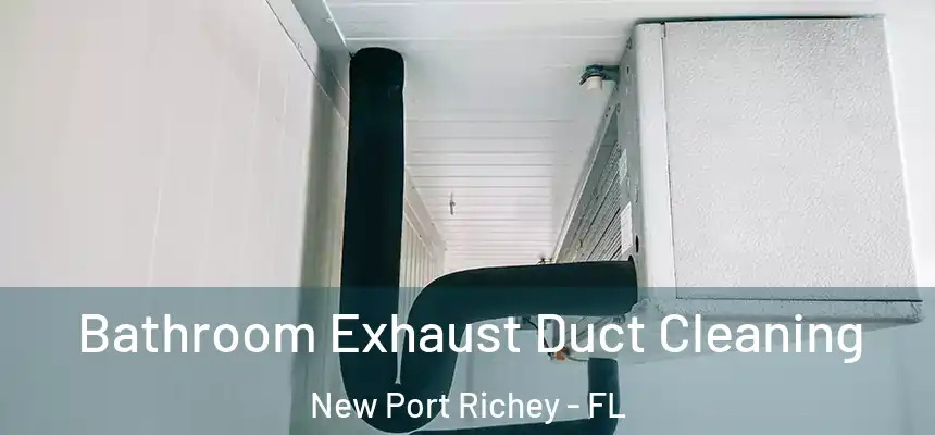  Bathroom Exhaust Duct Cleaning New Port Richey - FL