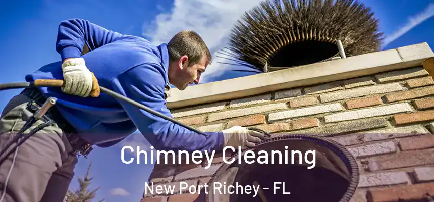 Chimney Cleaning New Port Richey - FL