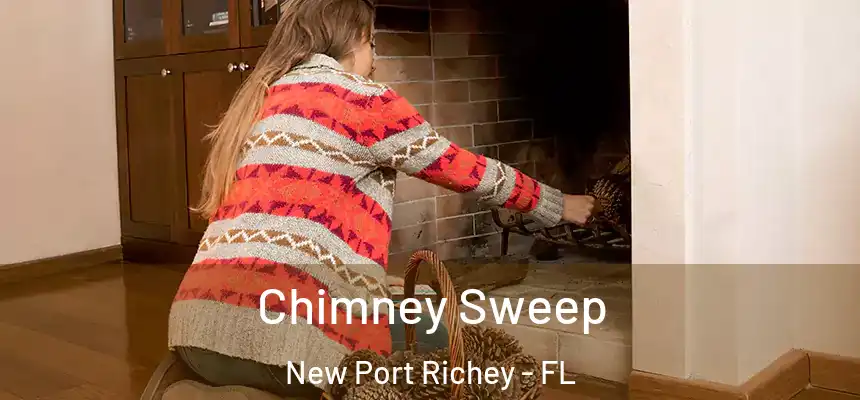 Chimney Sweep New Port Richey - FL