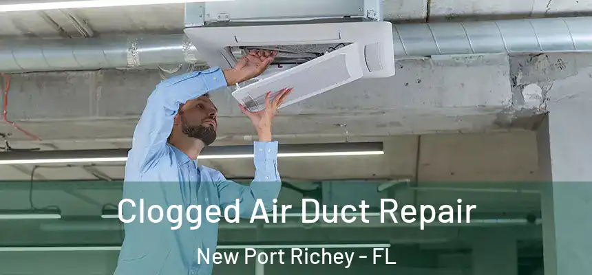  Clogged Air Duct Repair New Port Richey - FL
