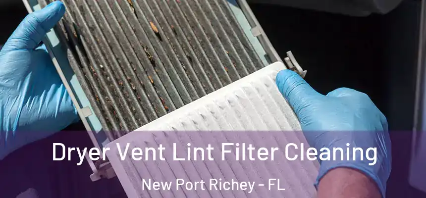 Dryer Vent Lint Filter Cleaning New Port Richey - FL