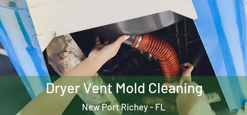 Dryer Vent Mold Cleaning New Port Richey - FL