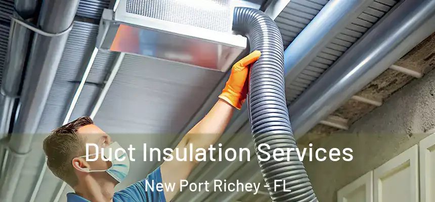 Duct Insulation Services New Port Richey - FL