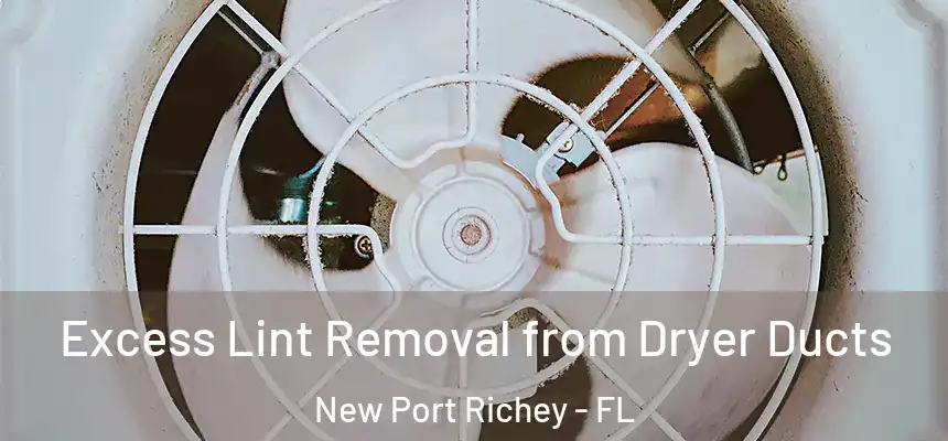  Excess Lint Removal from Dryer Ducts New Port Richey - FL