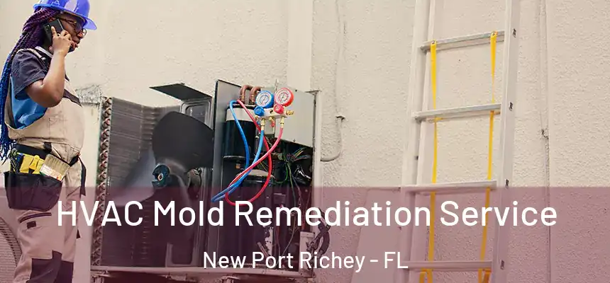  HVAC Mold Remediation Service New Port Richey - FL