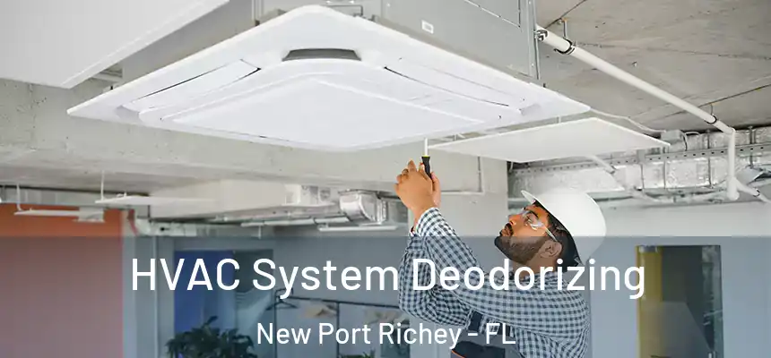  HVAC System Deodorizing New Port Richey - FL