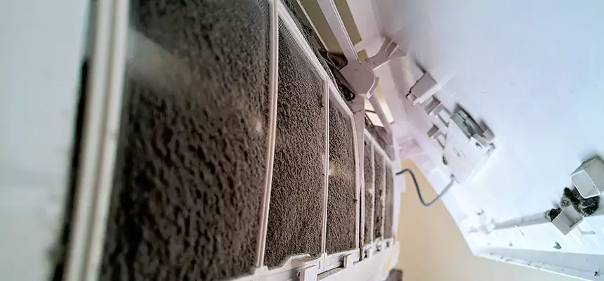 Preventive Air Duct Bacteria Removal in New Port Richey