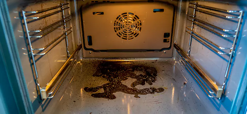 Our Dryer Vent Mold Cleaning Services in New Port Richey, FL