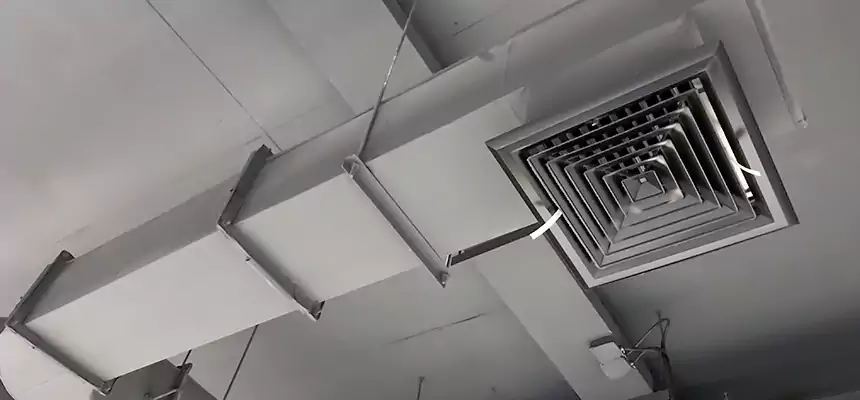 Our Pest Removal From Ducts Services in New Port Richey, FL