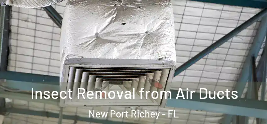  Insect Removal from Air Ducts New Port Richey - FL