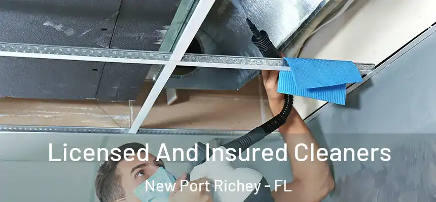Licensed And Insured Cleaners New Port Richey - FL