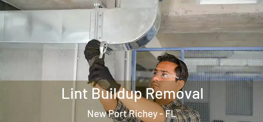 Lint Buildup Removal New Port Richey - FL
