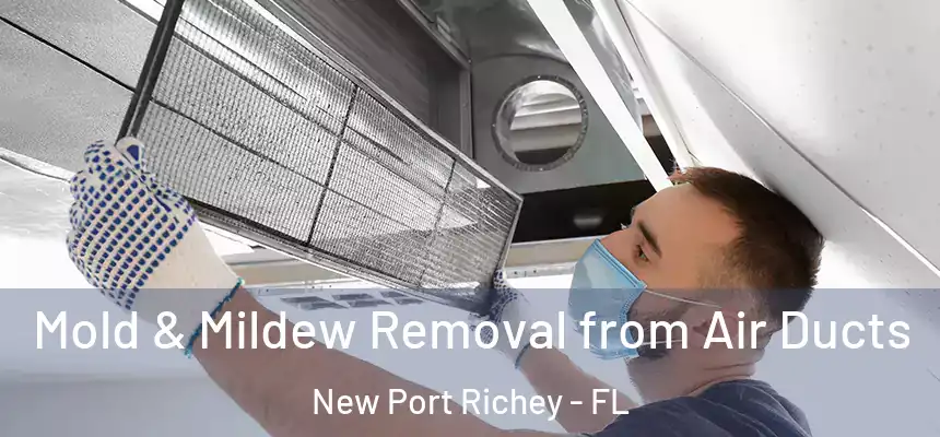 Mold & Mildew Removal from Air Ducts New Port Richey - FL