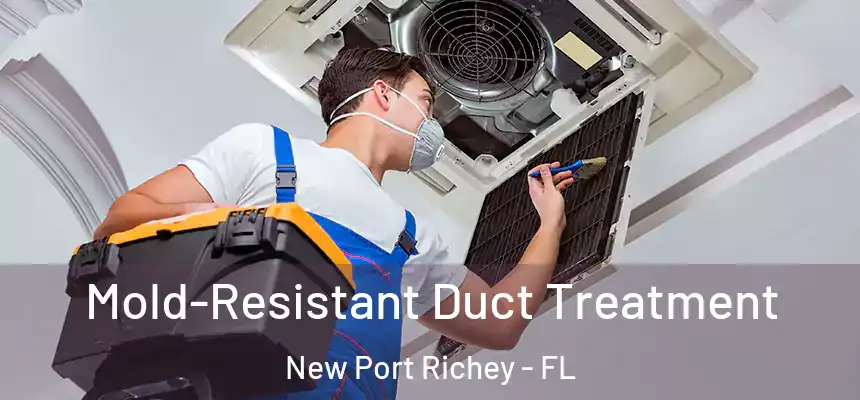  Mold-Resistant Duct Treatment New Port Richey - FL