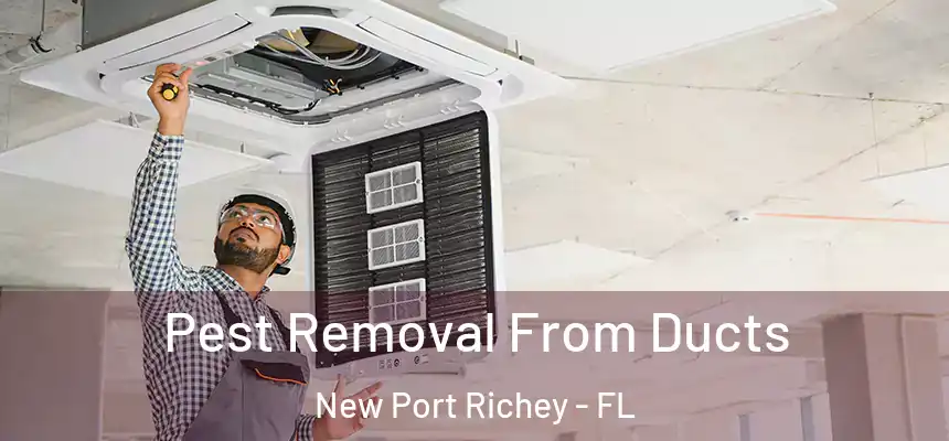 Pest Removal From Ducts New Port Richey - FL