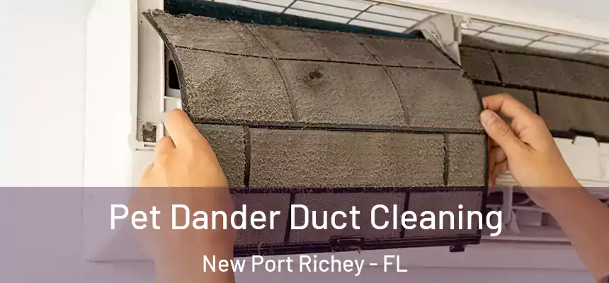 Pet Dander Duct Cleaning New Port Richey - FL