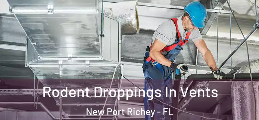 Rodent Droppings In Vents New Port Richey - FL