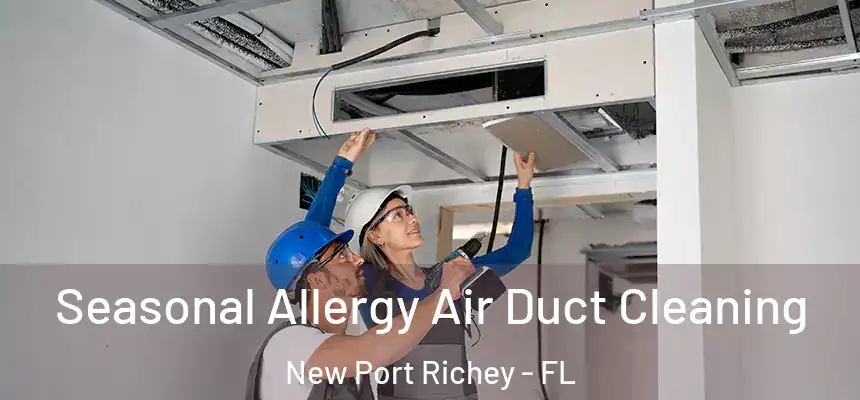  Seasonal Allergy Air Duct Cleaning New Port Richey - FL