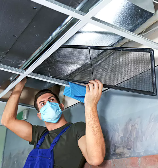 About Air Duct Bacteria Removal in New Port Richey