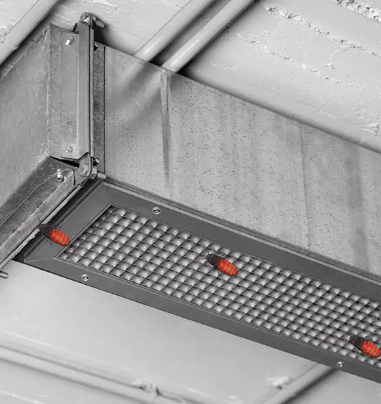 About Air Duct Cockroach Removal in New Port Richey, FL