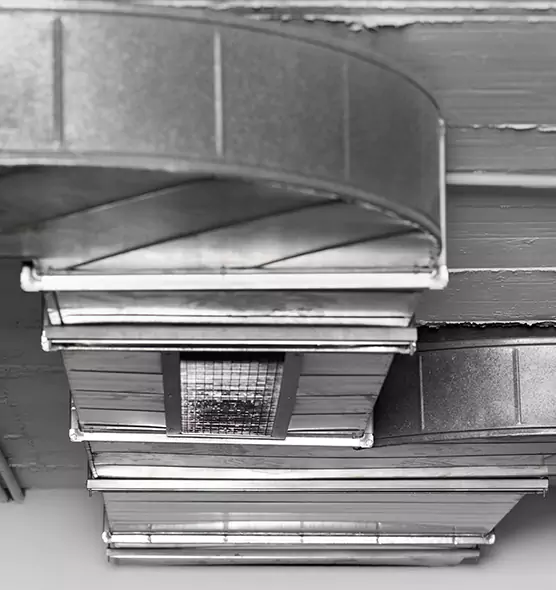 Professional Air Duct Pet Hair Removal in New Port Richey, FL