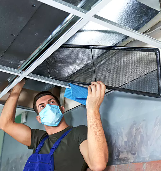 Professional Air Duct Pollen Cleaning in New Port Richey, FL
