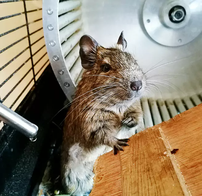 Why Homeowners & Businesses Trust Us New Port Richey, FL?