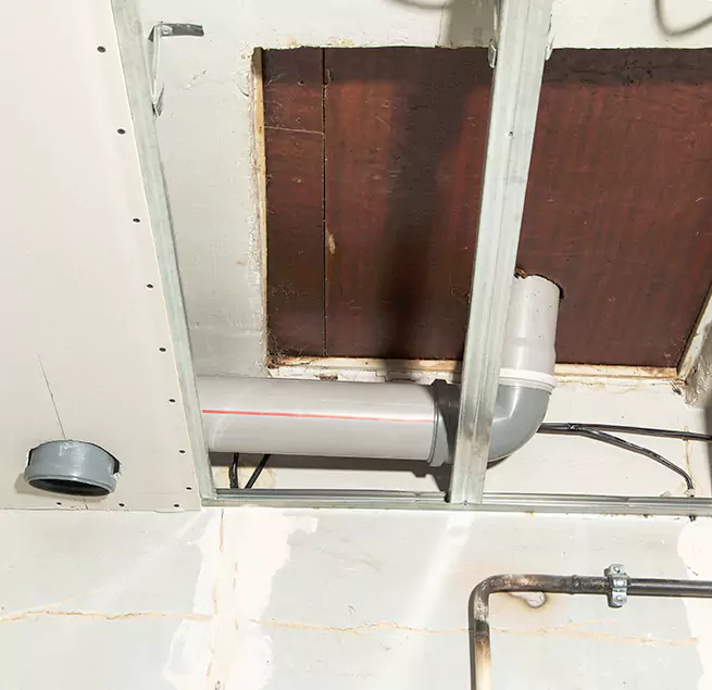 Why Homeowners & Businesses Trust Us in New Port Richey, FL?