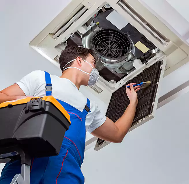 Why Homeowners & Businesses Trust Us in New Port Richey, FL