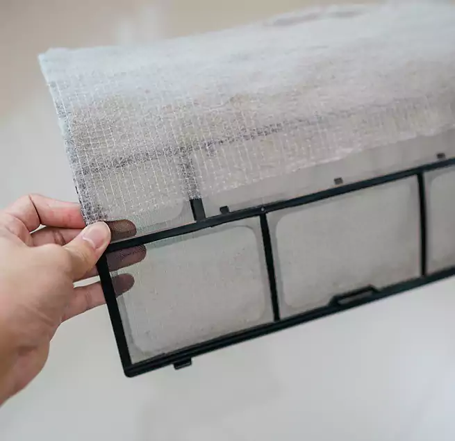 Why Homeowners & Businesses Trust Us in New Port Richey, FL?