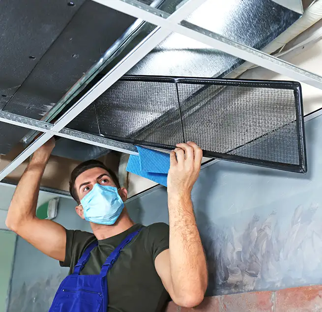 Why Homeowners & Businesses Trust Us in New Port Richey, FL?