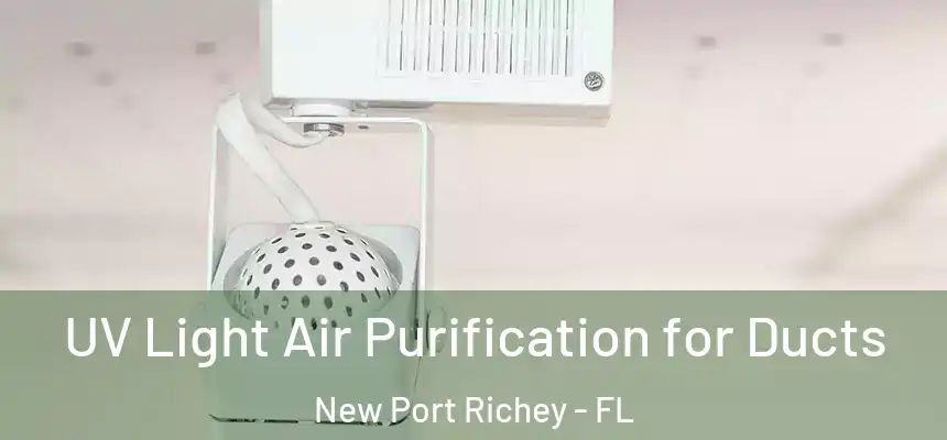  UV Light Air Purification for Ducts New Port Richey - FL
